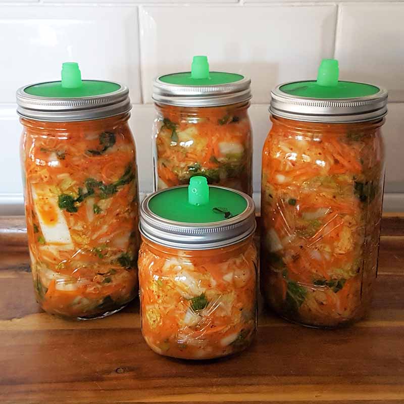 Goodlife - Silicone Airlock Fermentation Lid