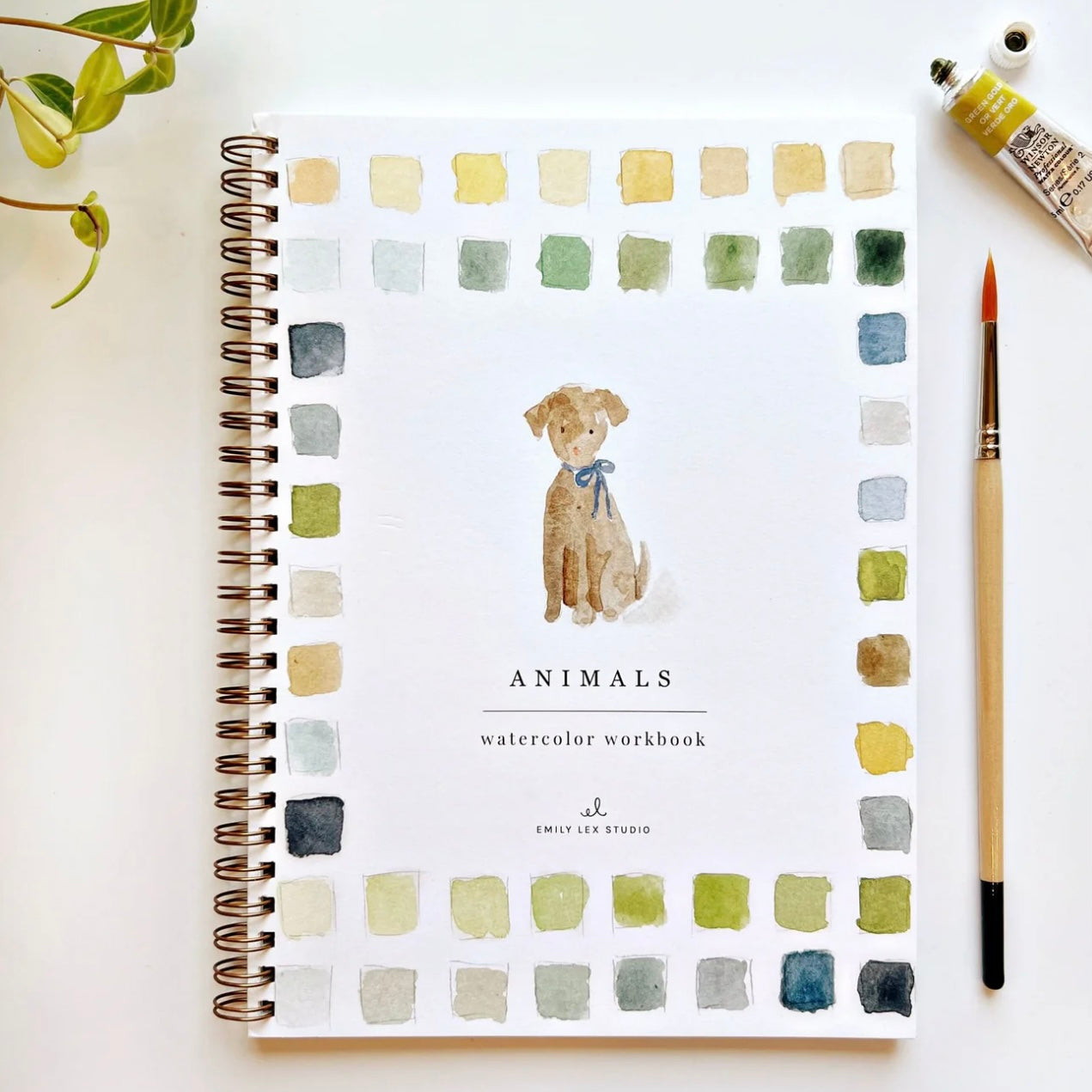 Emily Lex Studio - Animals Watercolour Workbook