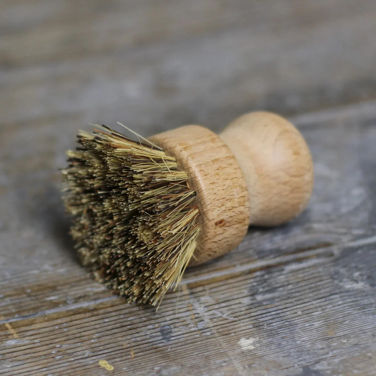 Pot Brush