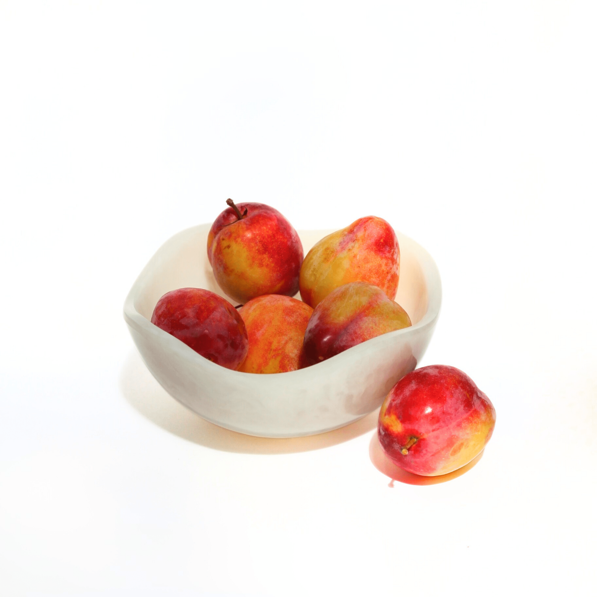 Allegra Resin Bowl - The Flower Crate