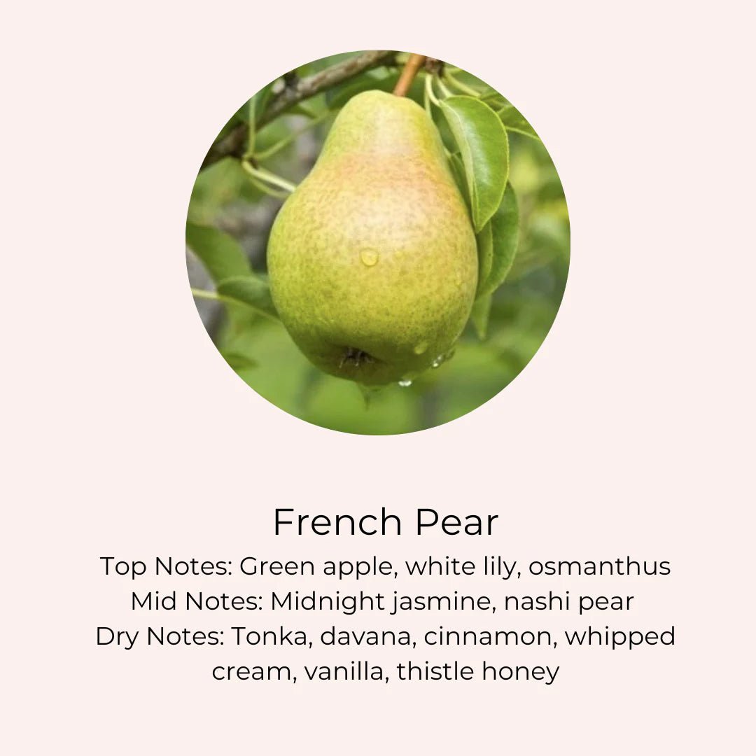 Amanda Alexander Collection - Christmas Bauble Candle, Champagne Gold - The Flower Crate