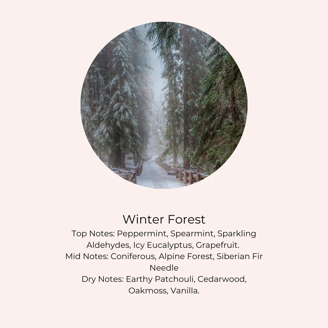 Amanda Alexander Collection - Christmas Bauble Candle, Silver - The Flower Crate