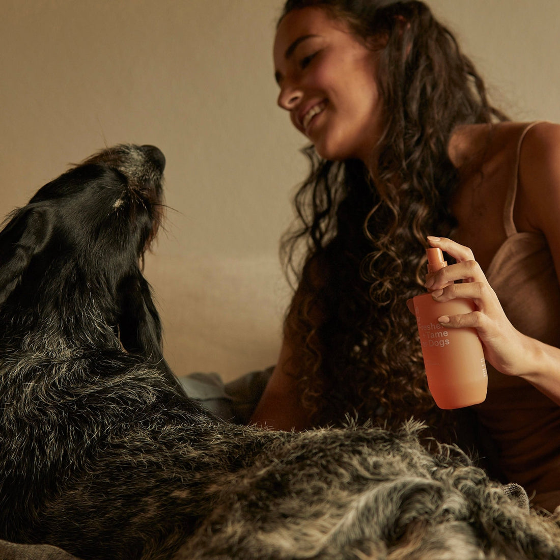 Ashley & Co - Ruff Star - The Flower Crate