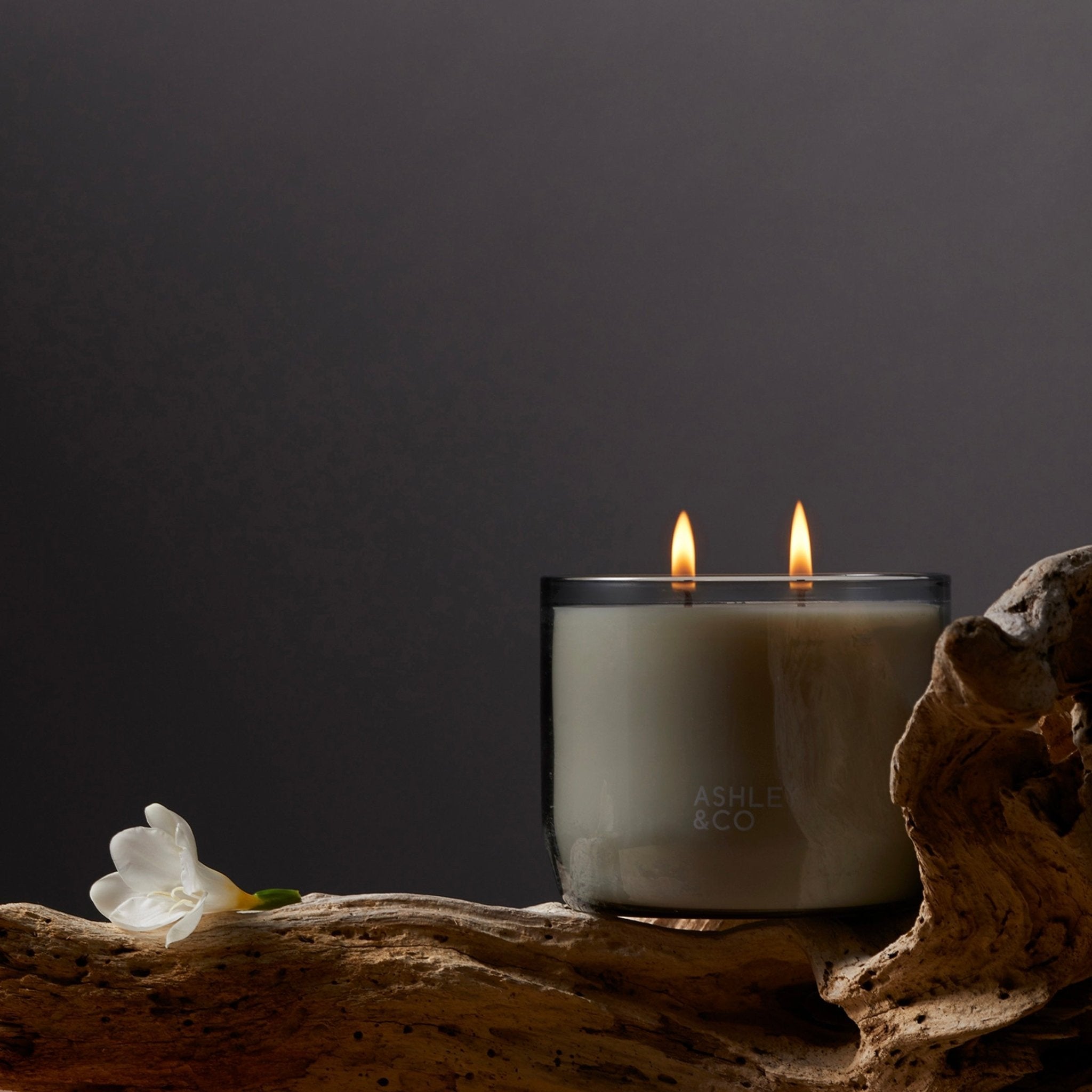 Ashley & Co XL Waxed Perfume Candle - The Flower Crate
