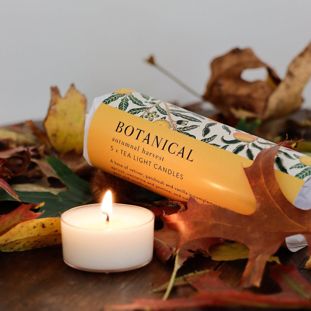 Autumn Harvest Soy Tea Lights - The Flower Crate