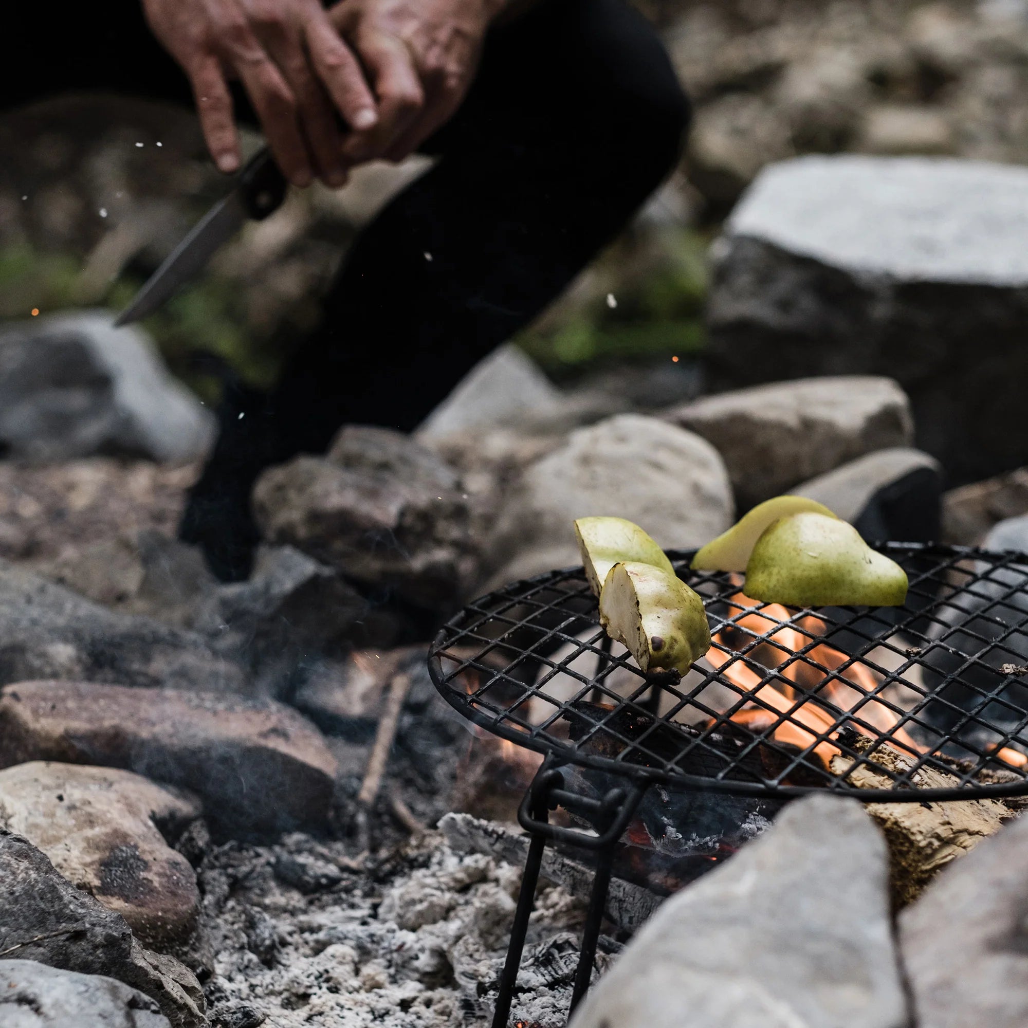 Barebones - Fire Pit Grill Grate, Circular - The Flower Crate