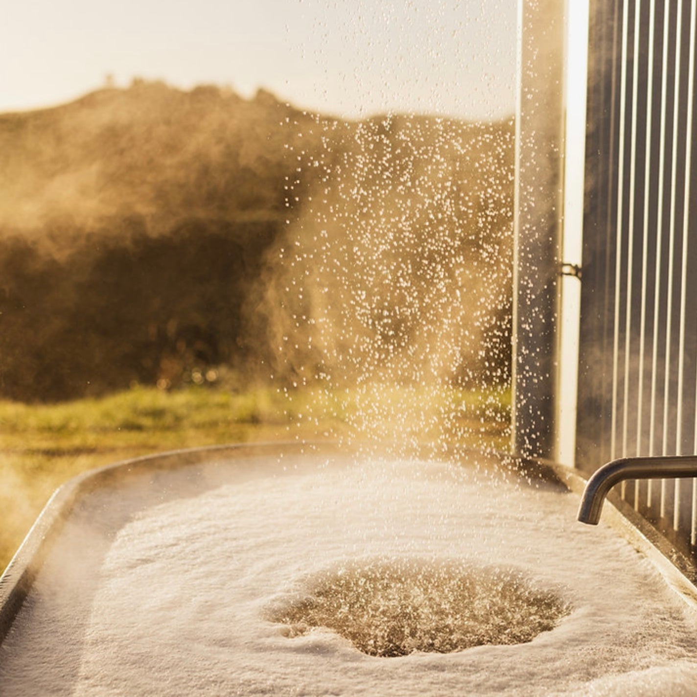 Botanical - Shower Steamers 4 Pack, Peppermint and Eucalyptus - The Flower Crate