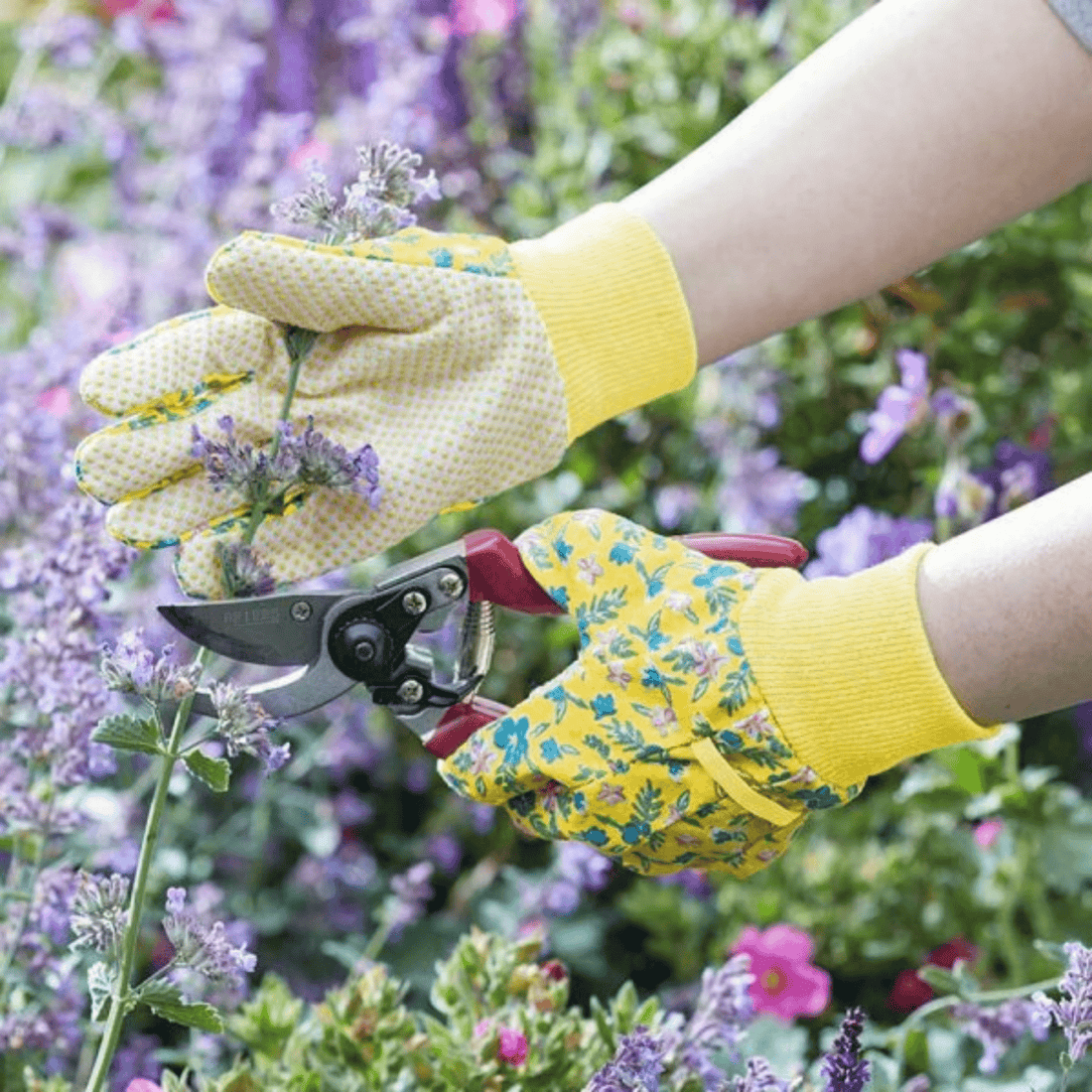 Briers - 3 Pack Cotton Grip Gardening Gloves, Sicilian Lemon - The Flower Crate