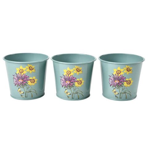 Burgon & Ball - Aster Herb Pots - The Flower Crate