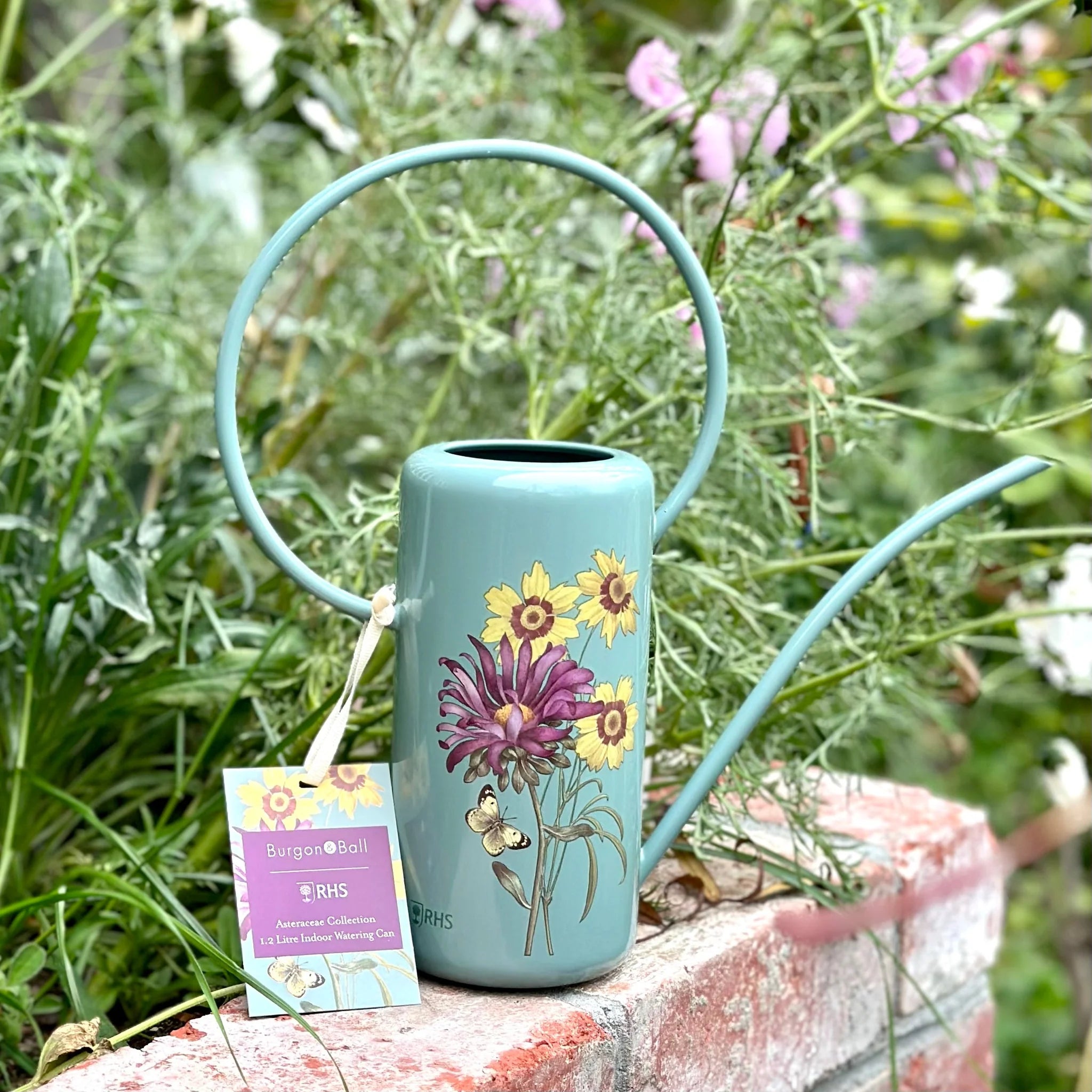 Burgon & Ball - Aster Indoor Watering Can - The Flower Crate