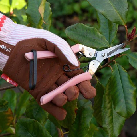 Burgon & Ball - Collectors Blush Fruit & Flower SNips - The Flower Crate