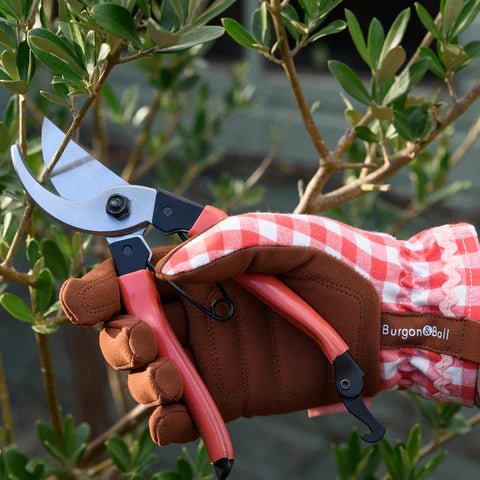 Burgon & Ball - Collectors Red Bypass Secateurs - The Flower Crate