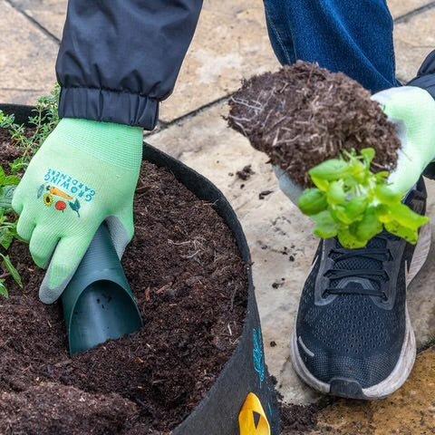 Burgon & Ball - Growing Gardeners Soil Scoops - The Flower Crate