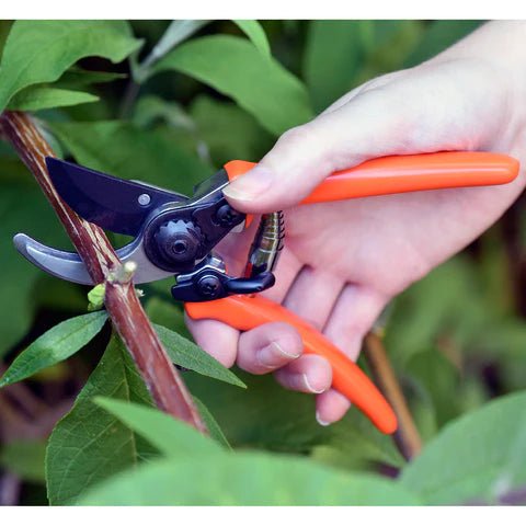 Burgon & Ball - Micro Secateurs - The Flower Crate