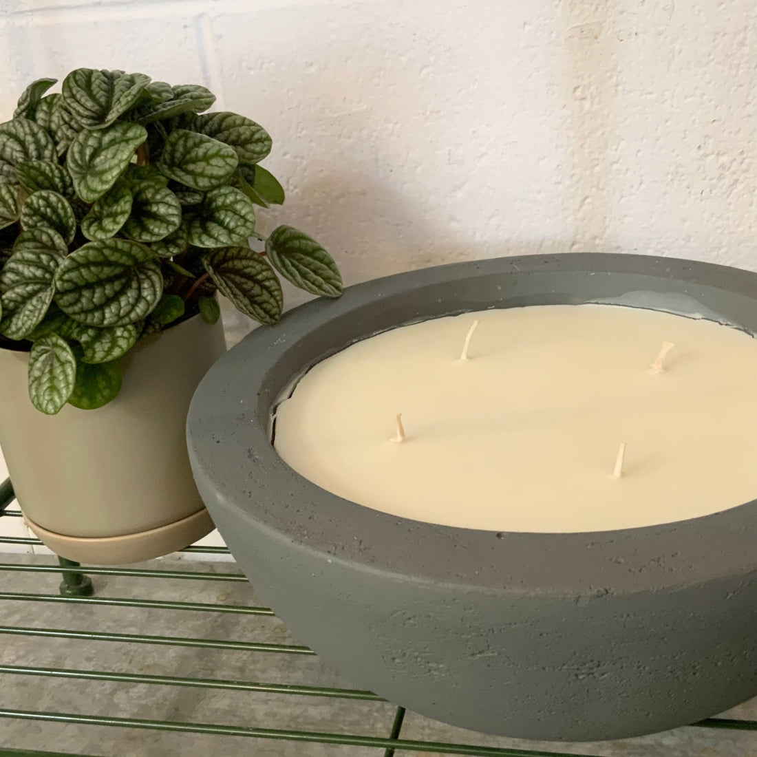 Citronella Soy Wax Candle XL - The Flower Crate
