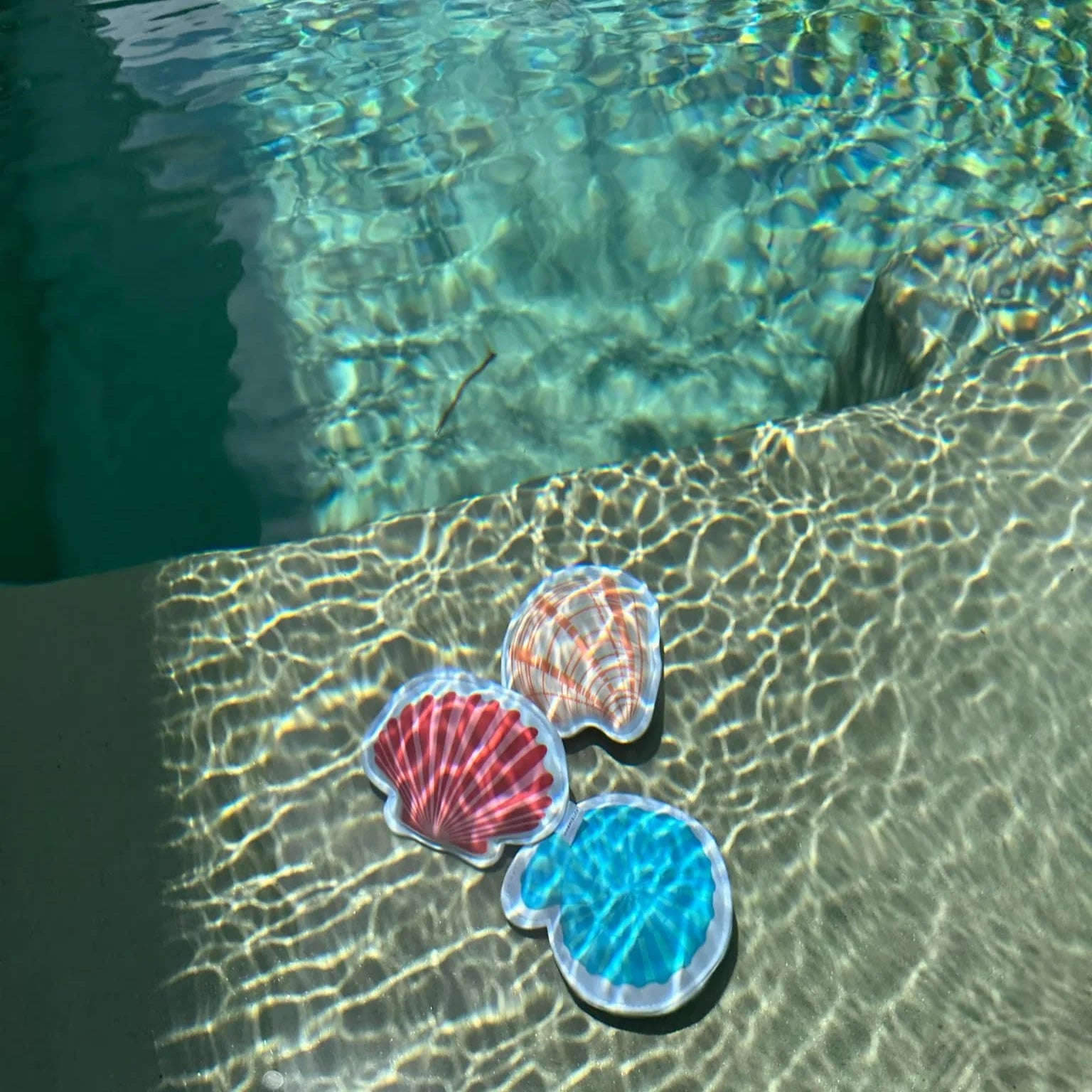 Coastkids - Shoal Bay Sinking Shells - The Flower Crate