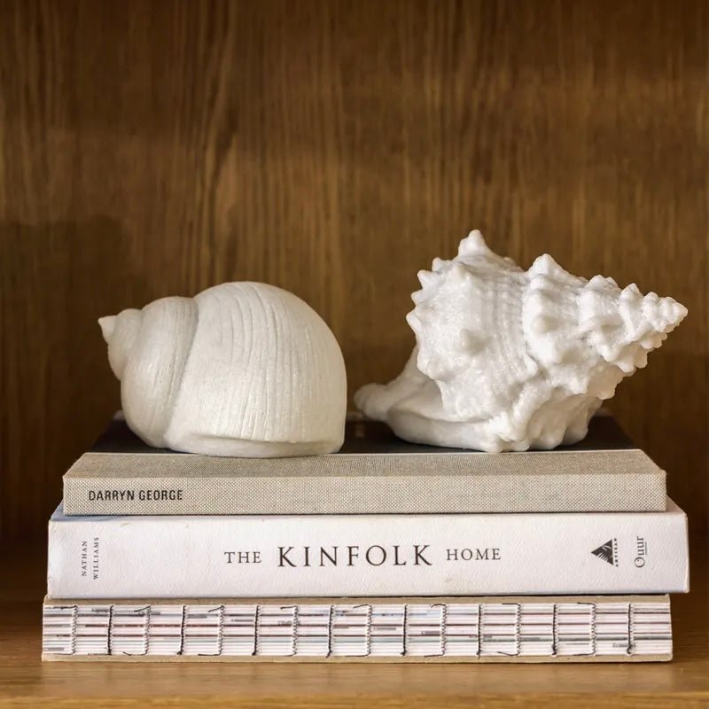 Decorative Conch Shell Light - The Flower Crate