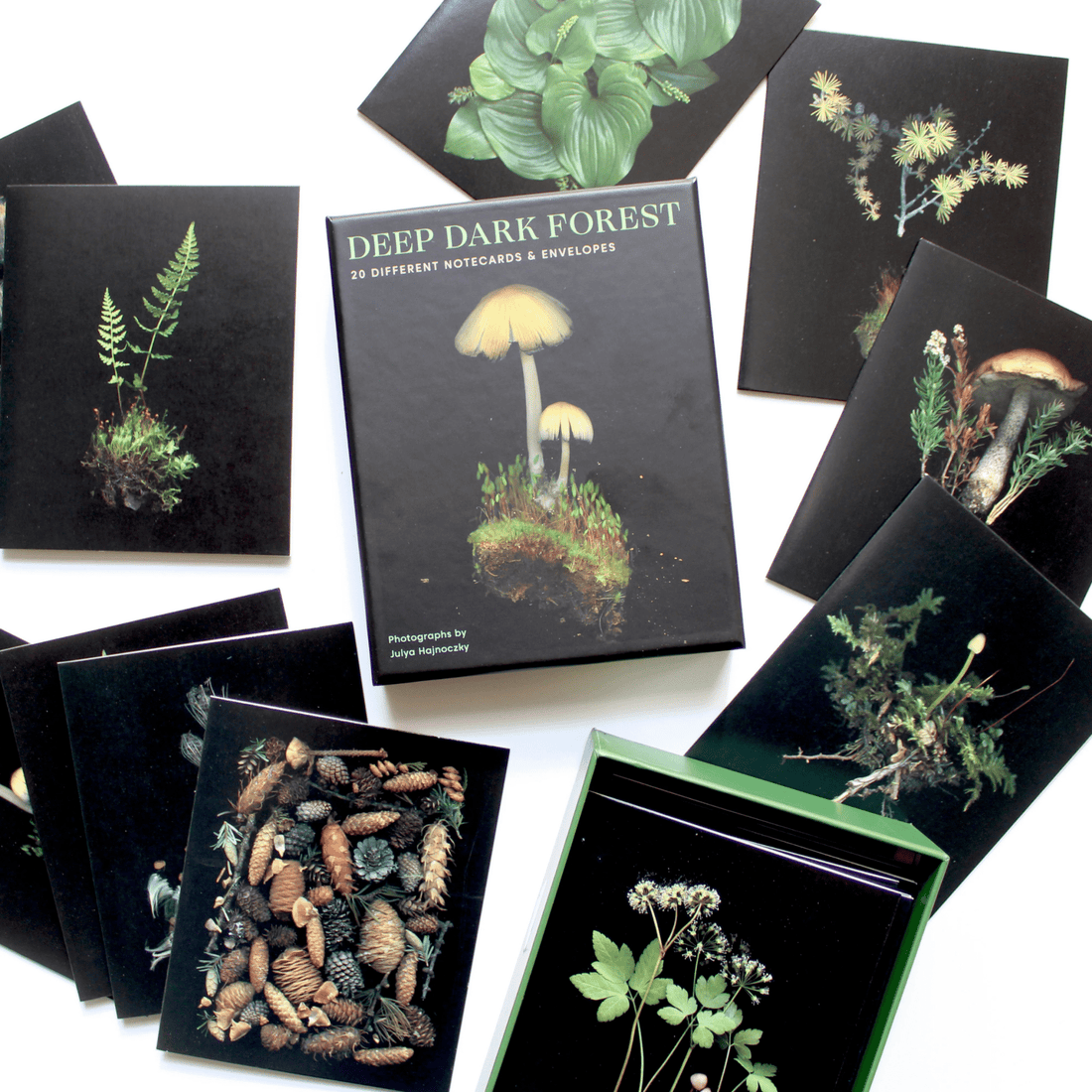 Deep Dark Forest Notecards & Envelopes - The Flower Crate