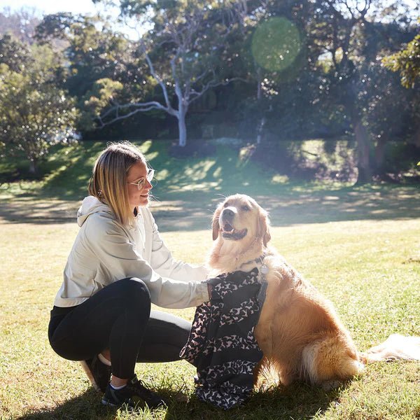 Dock & Bay - Dog Towel, Walkies In The Park - The Flower Crate