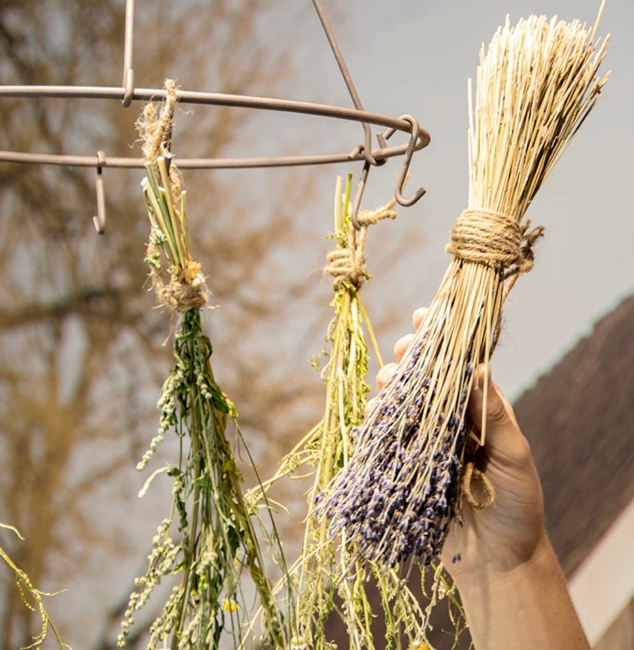 Dried Flowers and Herb Dryer - The Flower Crate