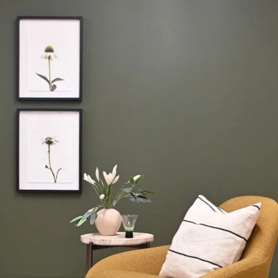 Echinacea Framed Wall Art - The Flower Crate