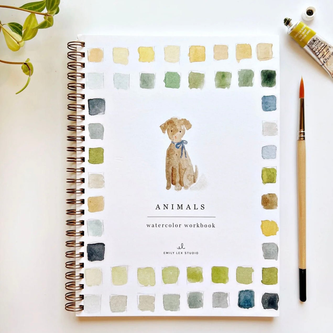 Emily Lex Studio - Animals Watercolour Workbook - The Flower Crate