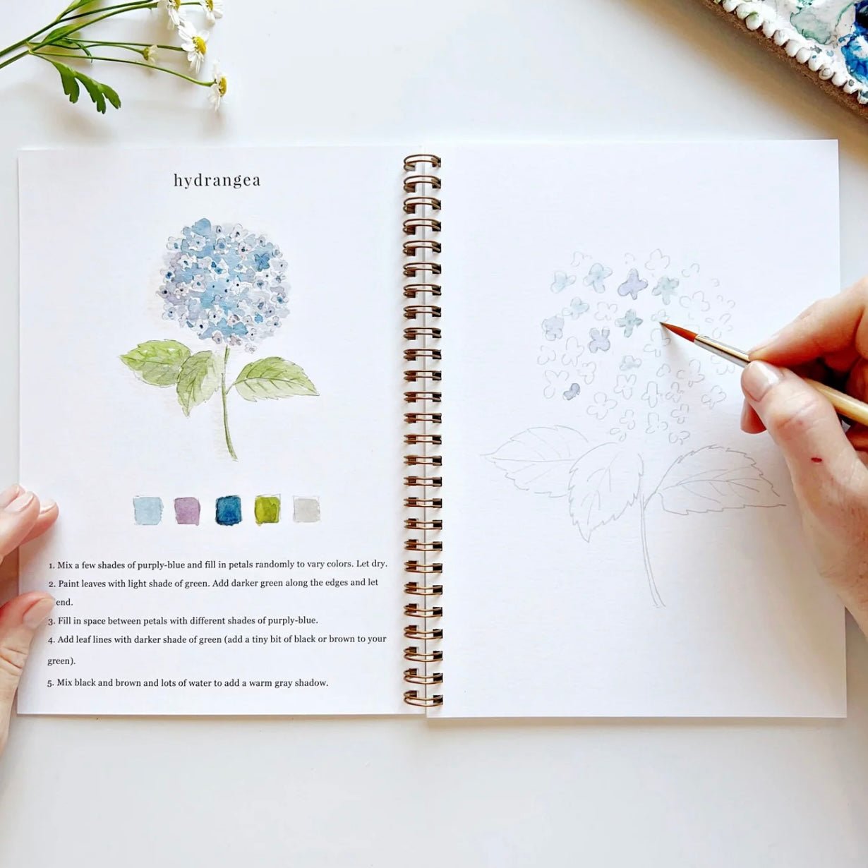 Emily Lex Studio - Flowers Watercolour Workbook - The Flower Crate