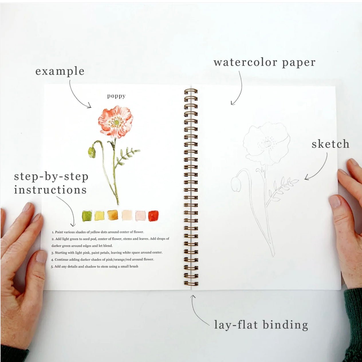 Emily Lex Studio - Flowers Watercolour Workbook - The Flower Crate