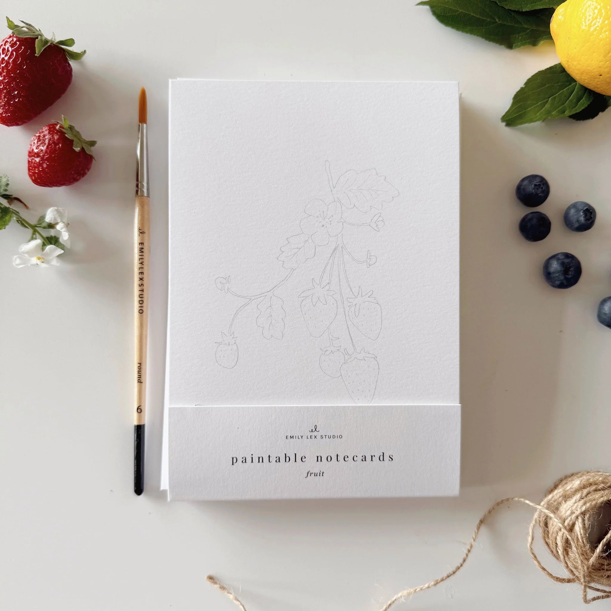 Emily Lex Studio - Fruit Paintable Notecards - The Flower Crate