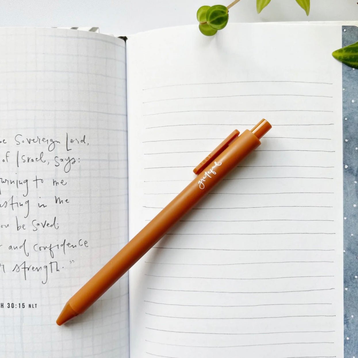 Emily Lex Studio - Jotter Pen - The Flower Crate