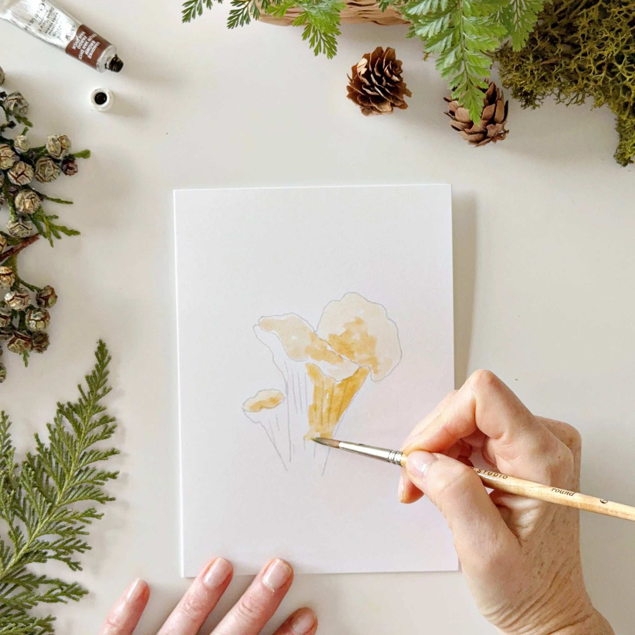 Emily Lex Studio - Mushrooms Paintable Notecards - The Flower Crate