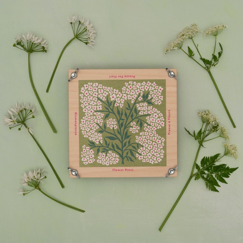 Forget Me Not Flower Press - The Flower Crate