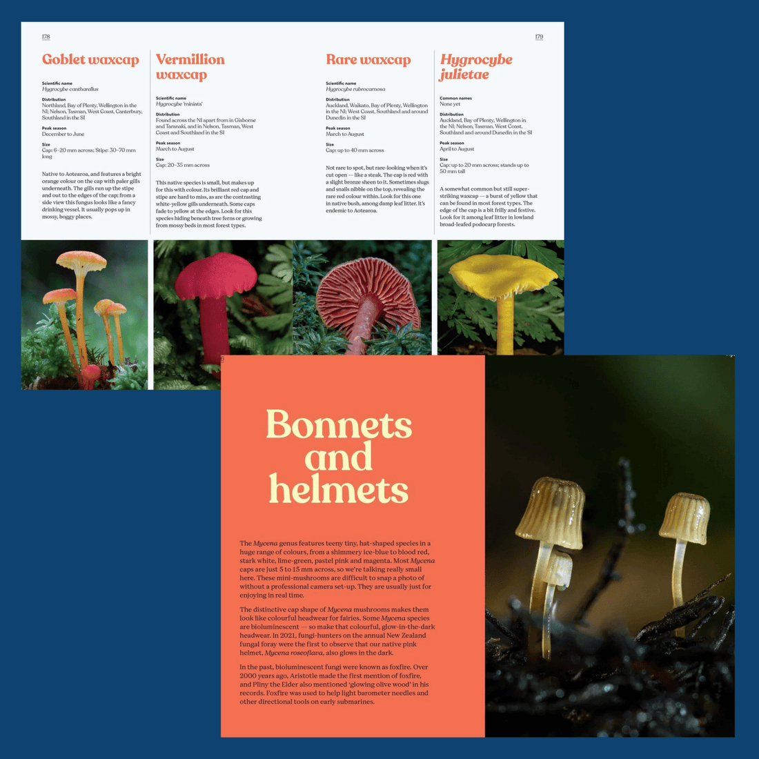 Fungi of Aotearoa - A Curious Forager’s Field Guide - The Flower Crate
