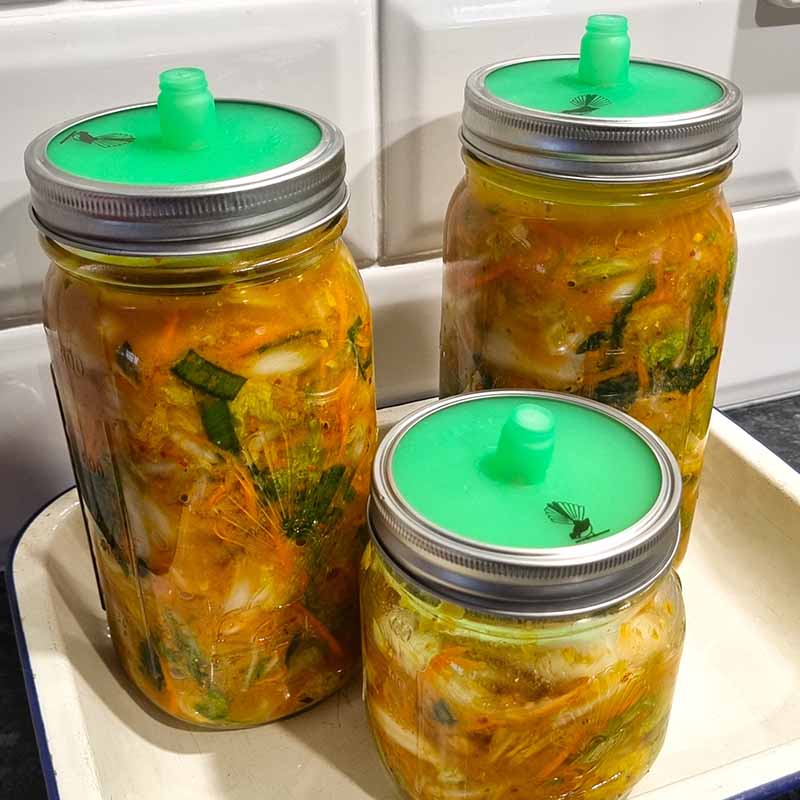 Goodlife - 1L Fermentation Jar Kit - The Flower Crate