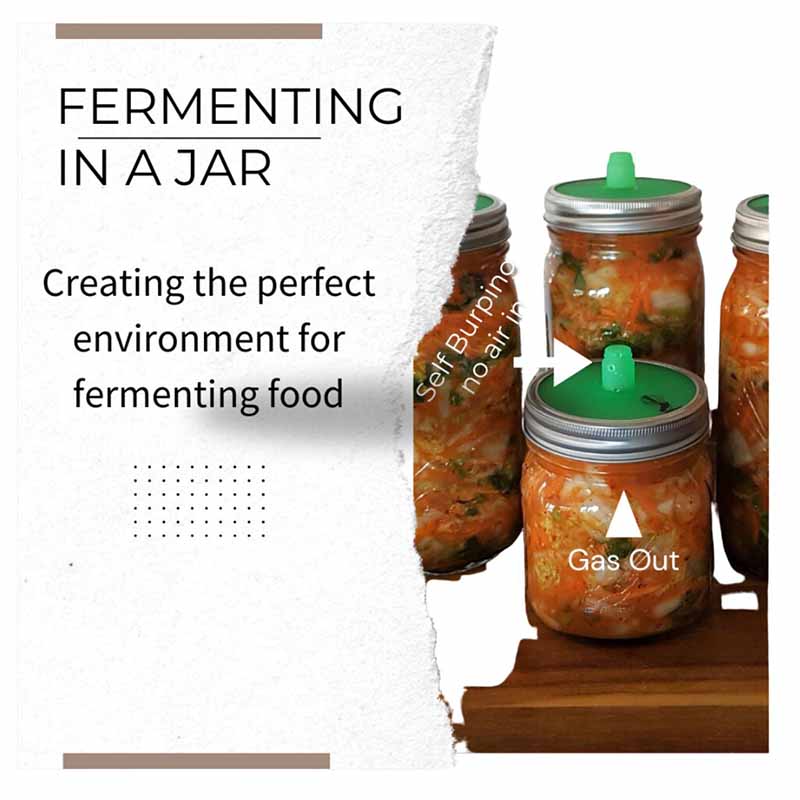 Goodlife - 1L Fermentation Jar Kit - The Flower Crate
