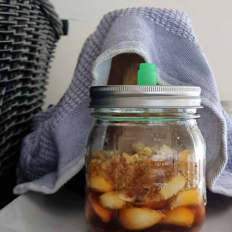 Goodlife - 500ml Fermentation Jar Kit - The Flower Crate