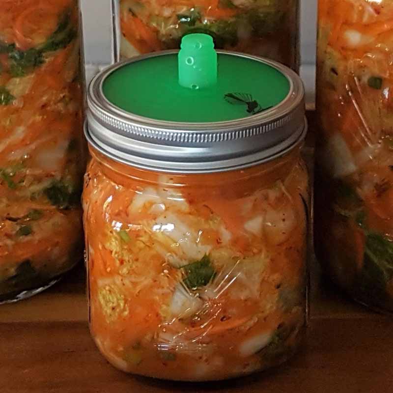 Goodlife - 500ml Fermentation Jar Kit - The Flower Crate