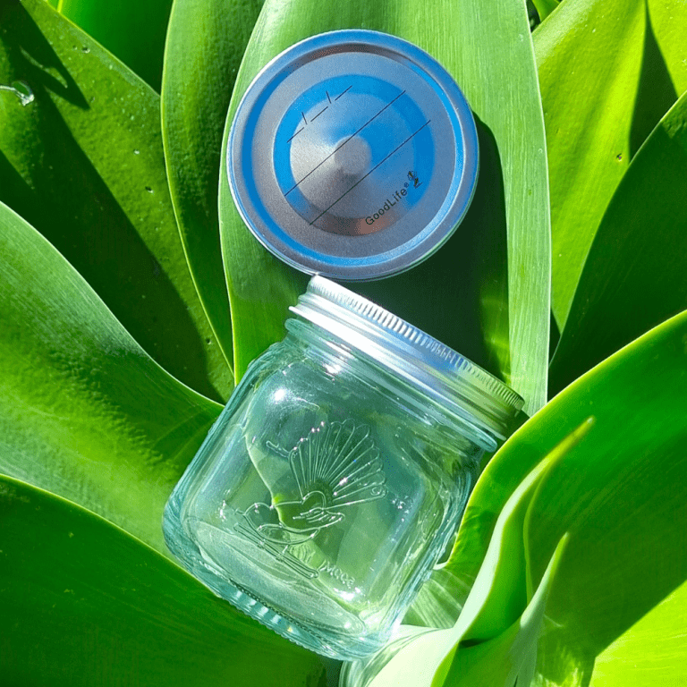 Goodlife - 500ml Preserving Jar with Pop Top Lid - The Flower Crate