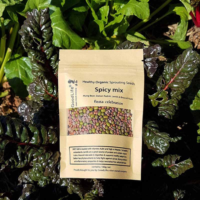 Goodlife - Spicy Mix Sprouting Seeds - The Flower Crate