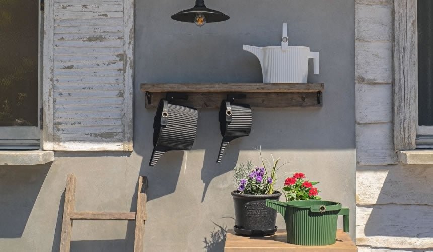 Hachiman - Beetle Watering Can, 5L - The Flower Crate