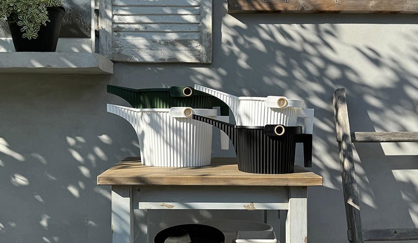 Hachiman - Beetle Watering Can, 5L - The Flower Crate