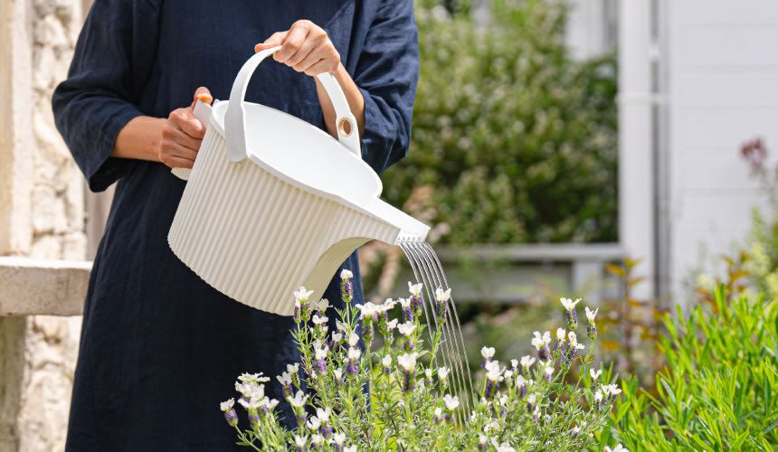 Hachiman - Beetle Watering Can, 5L - The Flower Crate