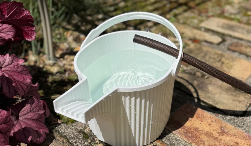 Hachiman - Beetle Watering Can, 5L - The Flower Crate