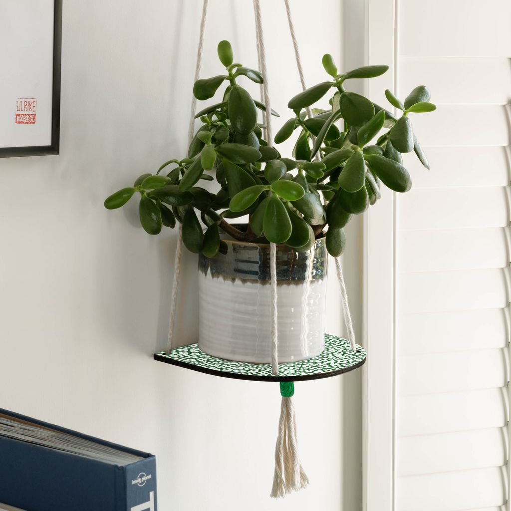 Hanging Plant Shelf - The Flower Crate