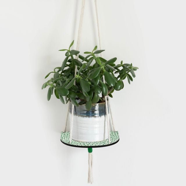 Hanging Plant Shelf - The Flower Crate