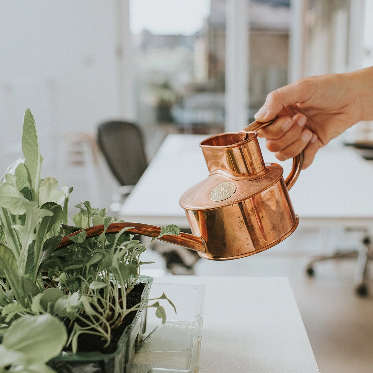 Haws Copper Watering Can - 1 Pint - The Flower Crate