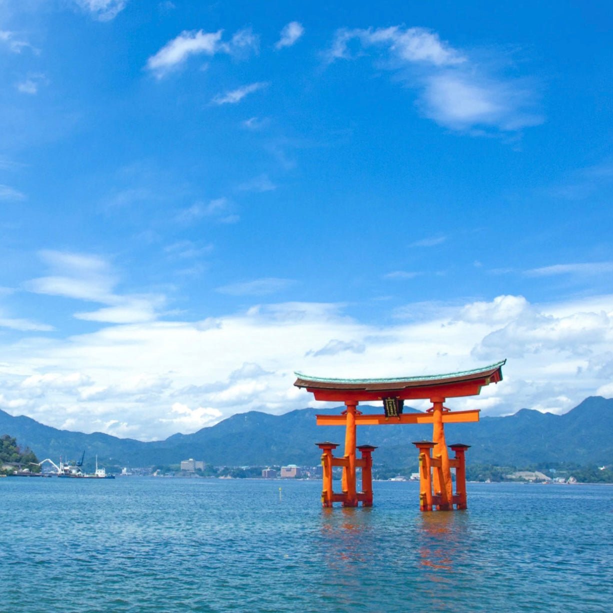 Inoue x Kozakikaku - Miyajima Itsukushima Bracelet/Hair Tie Set - The Flower Crate