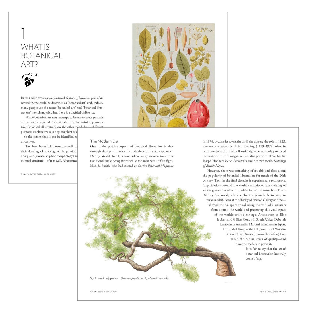 Kew Gardens Botanical Art Postcards - The Flower Crate