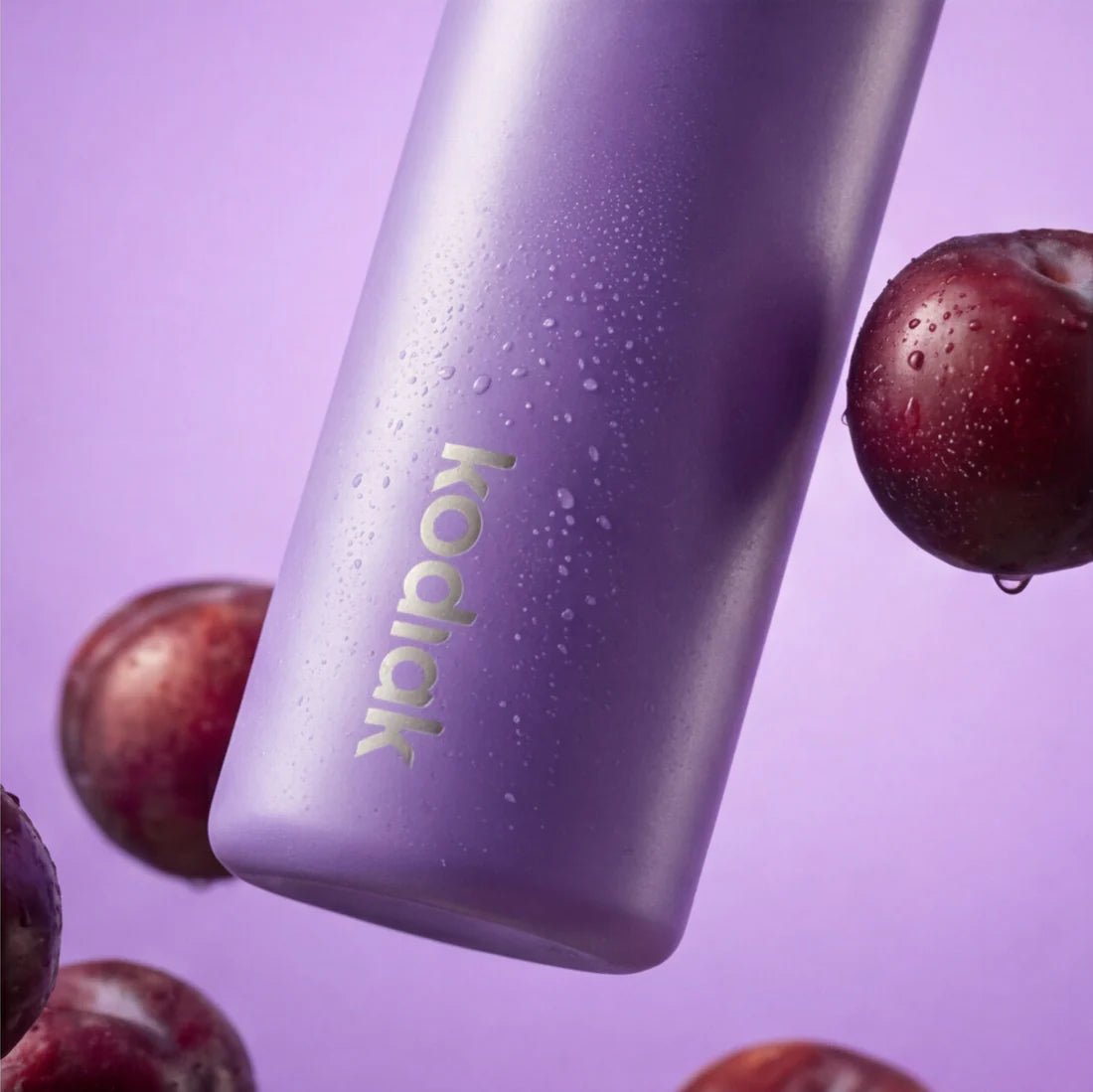 Kodiak - Impact Insulated Drink Bottle, Purple Scottie - The Flower Crate