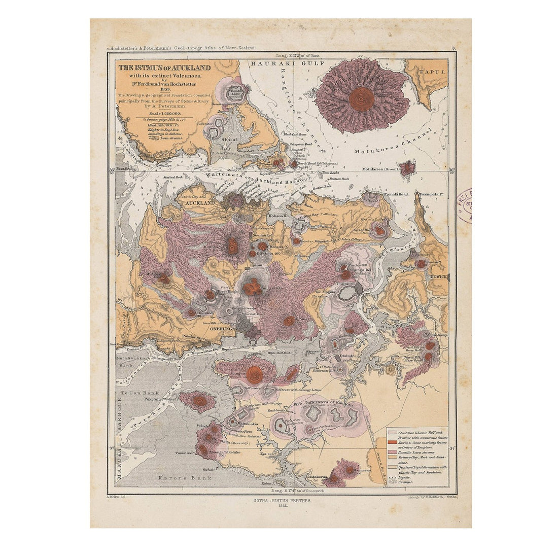 Lettuce - Auckland Volcanoes Puzzle - The Flower Crate